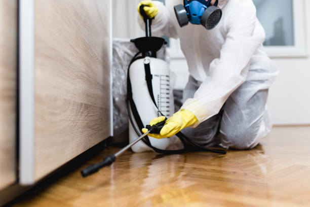 Best Pest Control Near Me in Liberty, TX