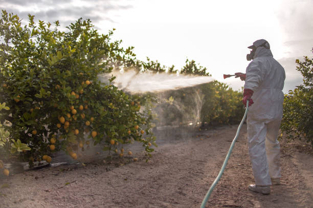 Professional Pest Control in Liberty, TX