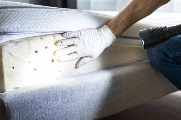 Best Rat Extermination Near Me  in Liberty, TX
