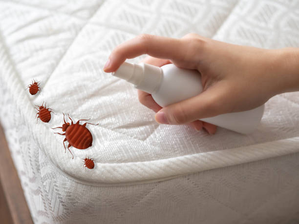 Pest Prevention Services in Liberty, TX